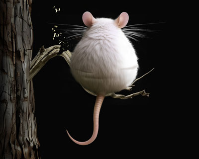 Цветы для Элджернона. 30 лет спустя