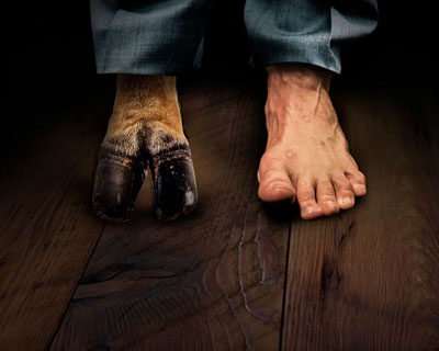 Скотный двор