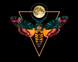 Вероника решает...